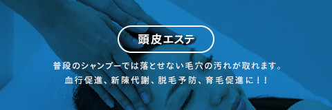 頭皮エステ 普段のシャンプーでは落とせない毛穴の汚れが取れます。血行促進、新陳代謝、脱毛予防、育毛促進に！！